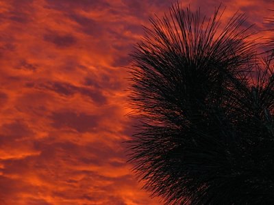 October Sunrise
