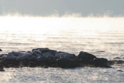 A bit cold with a little sea smoke