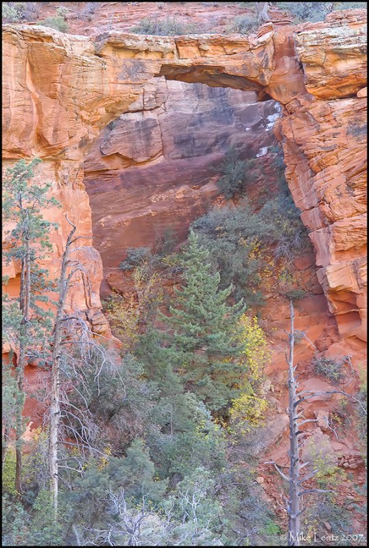 Sedona scene