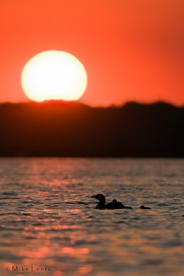 Silhouetted sunrise riders