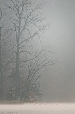 Vadnais Lake foggy fall morning