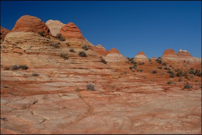 North Coyote Butte