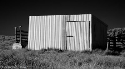 Tin shed