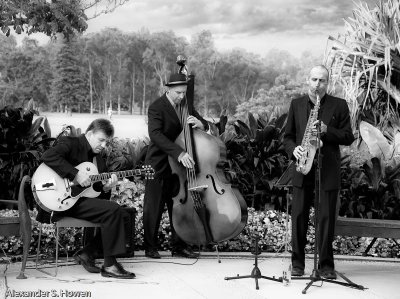 Centennial Park jazz