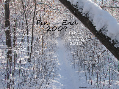 fin 2009 - end 2009