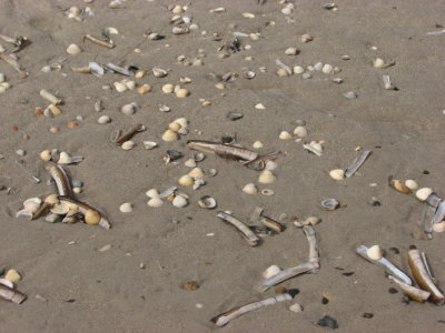Beach art III