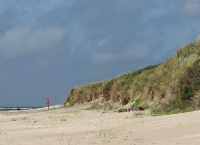 Dunes at Blaavand III