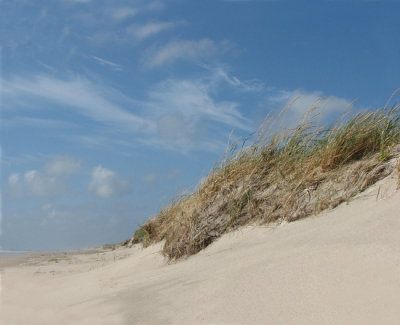 Dunes at Skallingen I