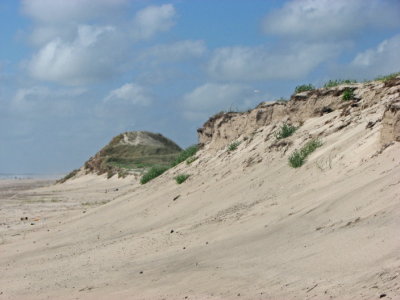 Dunes at Skallingen III