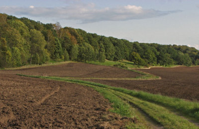 The road to Bälteberga