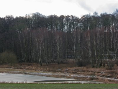 The ice has started to melt