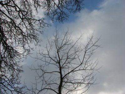Februari 2009
