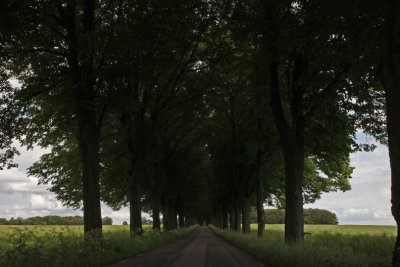 The avenue of Spargott III