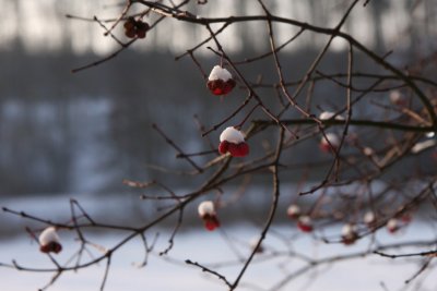 Snow on Spindle