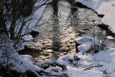 Tjute creek in snow I