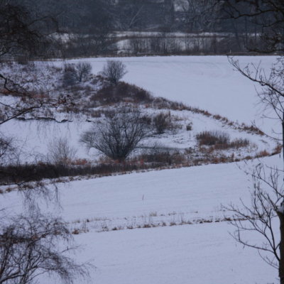 g3/00/739000/3/124063259.YBjd0cyL.jpg