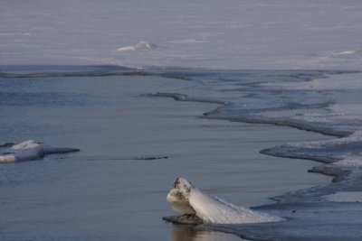 Ice