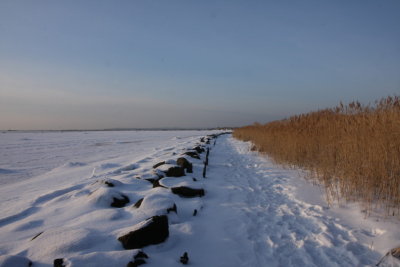 Along the shore I