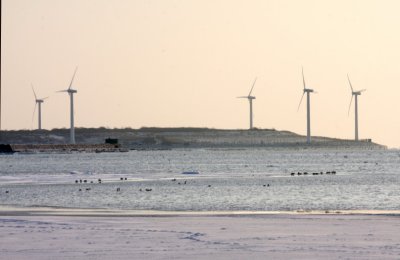 Gypsum island