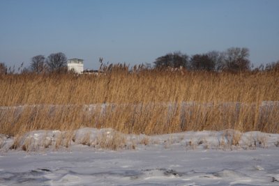 On the other side of the reed I