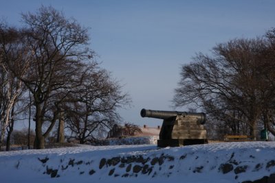 Cannon on the moat I