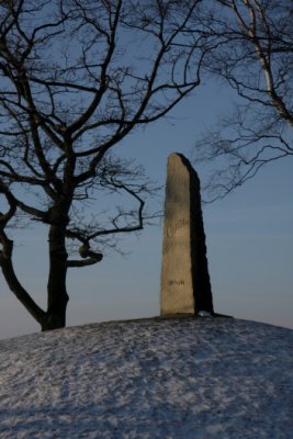Stone from the visit of King Oscar 1901