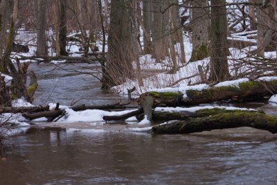 high water on Tjute creek