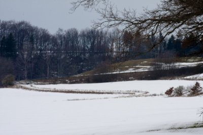 February 2010