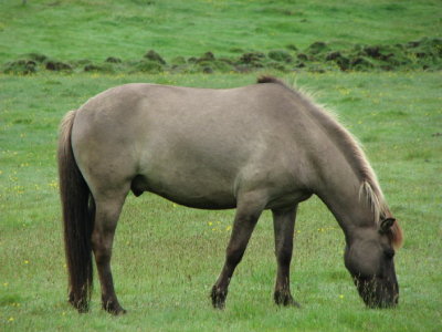 g3/00/739000/3/87555381.LdSf7WYz.jpg