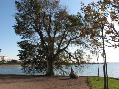 g3/00/739000/3/90355148.RNm4pe5H.jpg