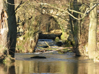 Old stone bridge I