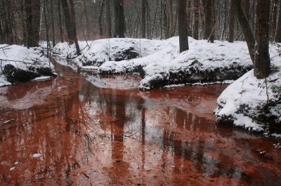Red brook, snow - Rode spreng, sneeuw