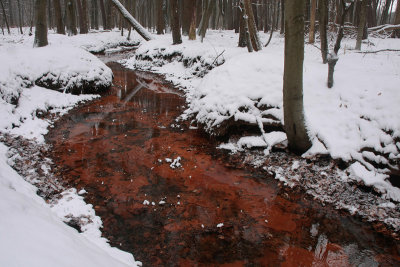 Red brook, snow - Rode spreng, sneeuw