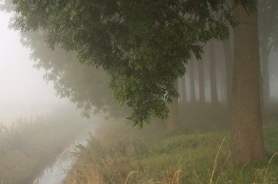 Ooijpolder