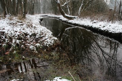 Staverdense beek/brook