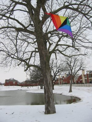 Kite in Winter