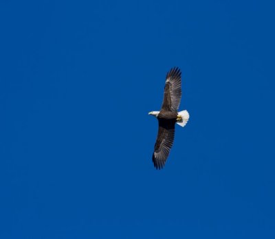 IMG_5989.jpg
