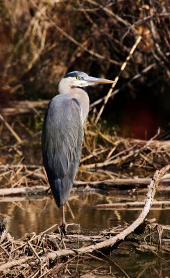 IMG_5319.jpg