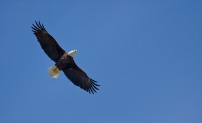 IMG_6264.jpg