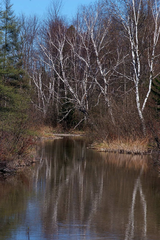 28 Caledon