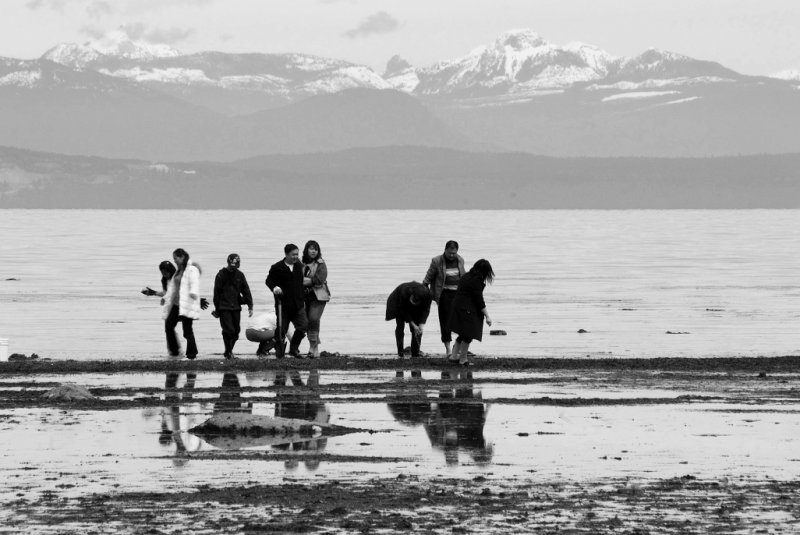 Clam Digging