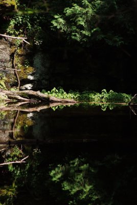 Reflections