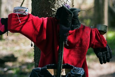 Tree Hugger's Backside