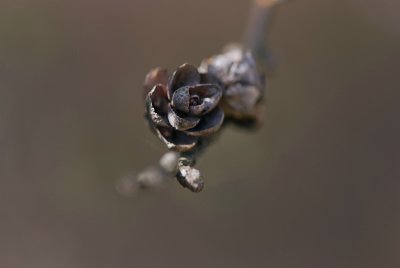 g3/00/779300/3/124204002.kE80Vykr.jpg