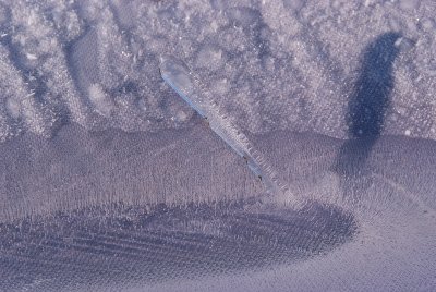 g3/00/779300/3/96387391.95ROjQPI.jpg