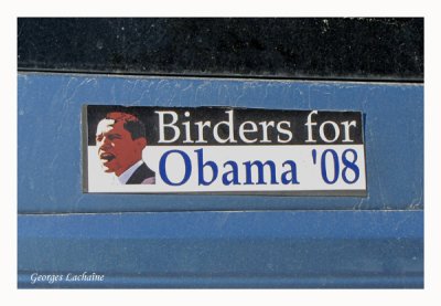 Observateurs pour Obama