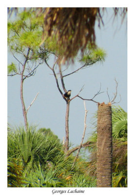 Caloosahatchee regional Park