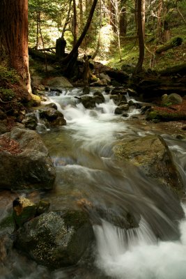 Limekiln