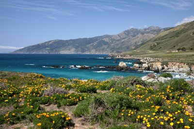 Pacific Valley