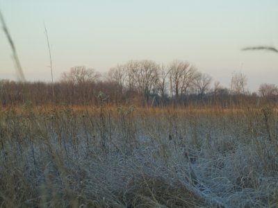 Skunk River Flats 09.JPG